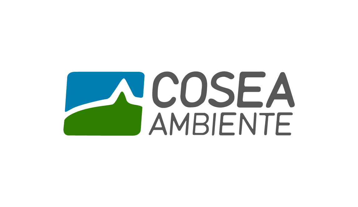 19-Cosea